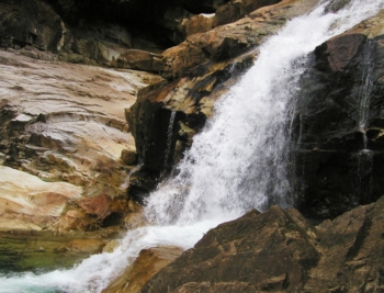 Everwood: Gated Living in Silver Valley - Woodlock Developments